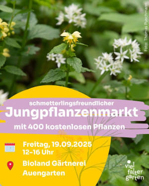 vergrößern